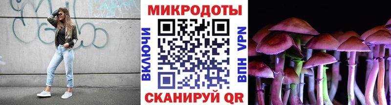 купить   Пугачёв  Псилоцибиновые грибы MAGIC MUSHROOMS 