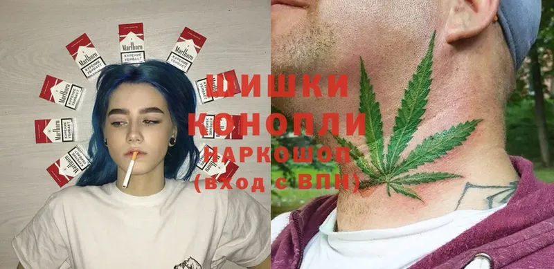 omg как войти  Пугачёв  Шишки марихуана OG Kush 